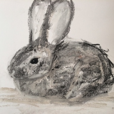 Cottontail drawing