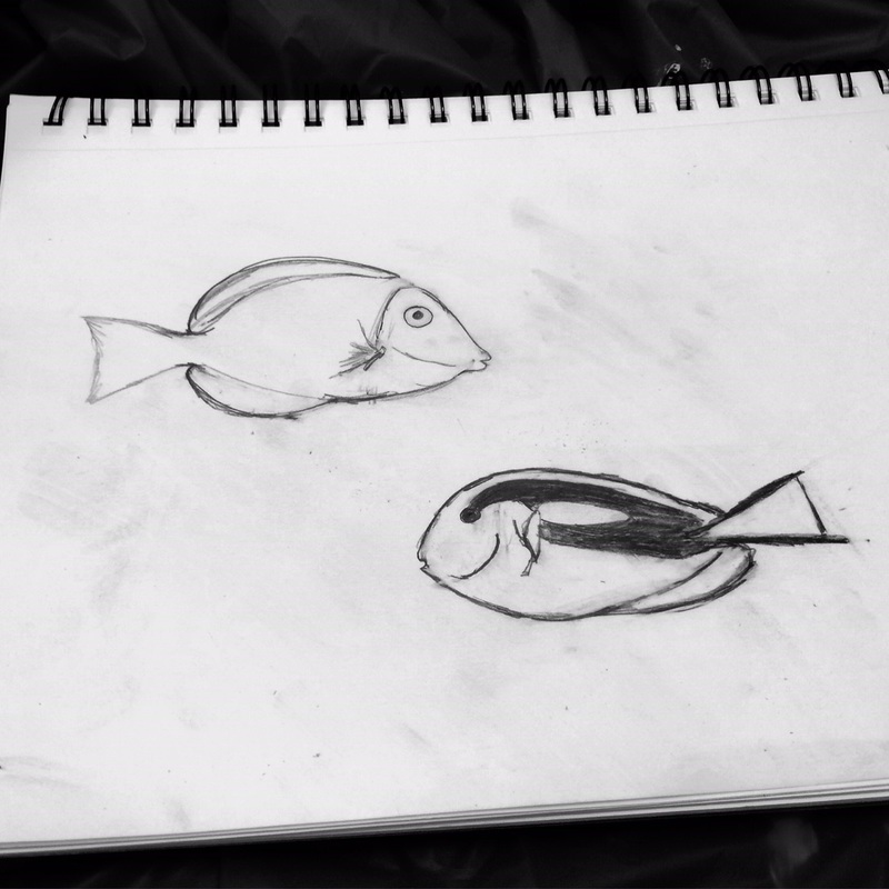 tang surgeonfish sketches