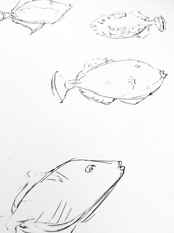 tropical fish sketches 