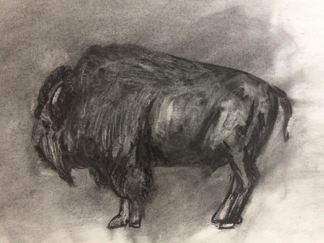 Bison drawing