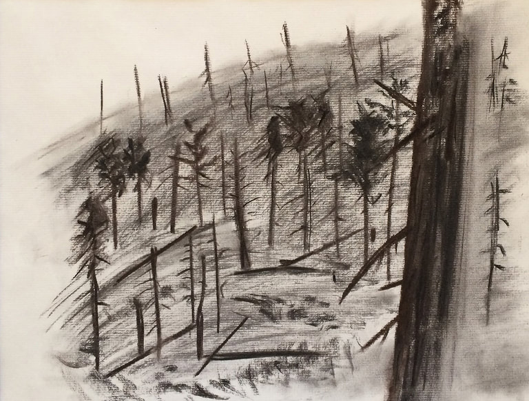 aspen wildfire drawing