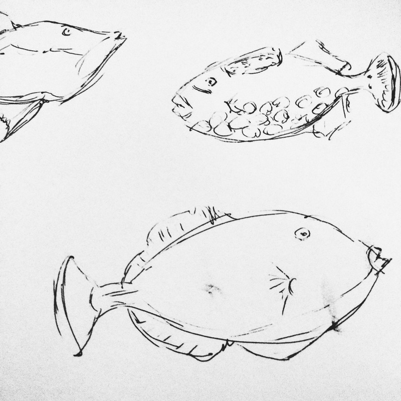 trigger fish sketch