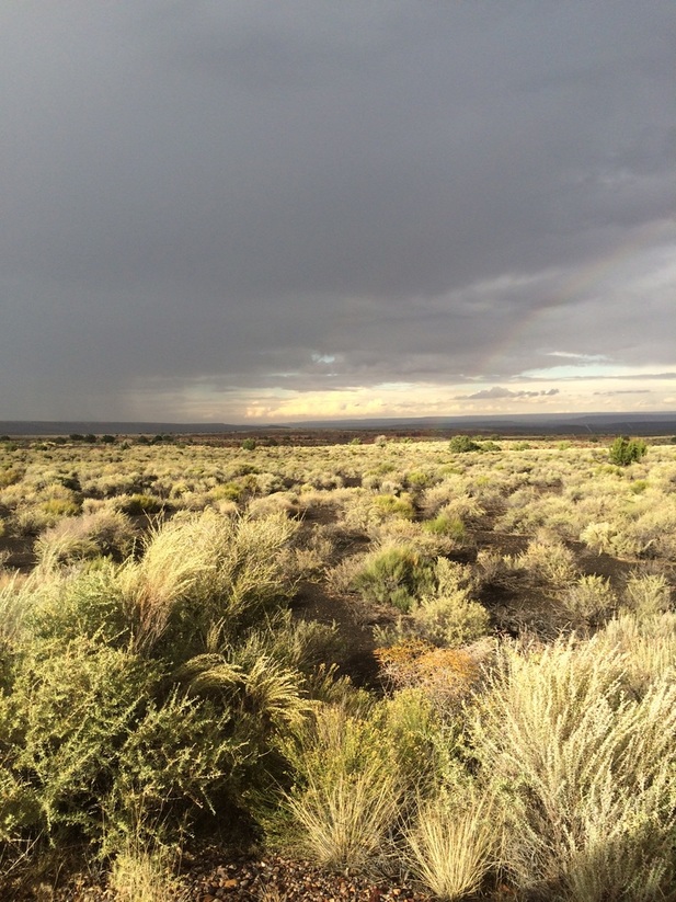 Flagstaff, Arizona storm
