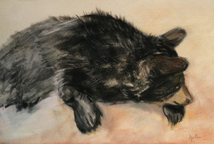 baby black bear pastel