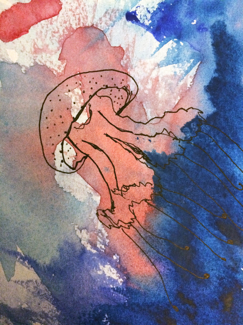 jellyfish watercolor