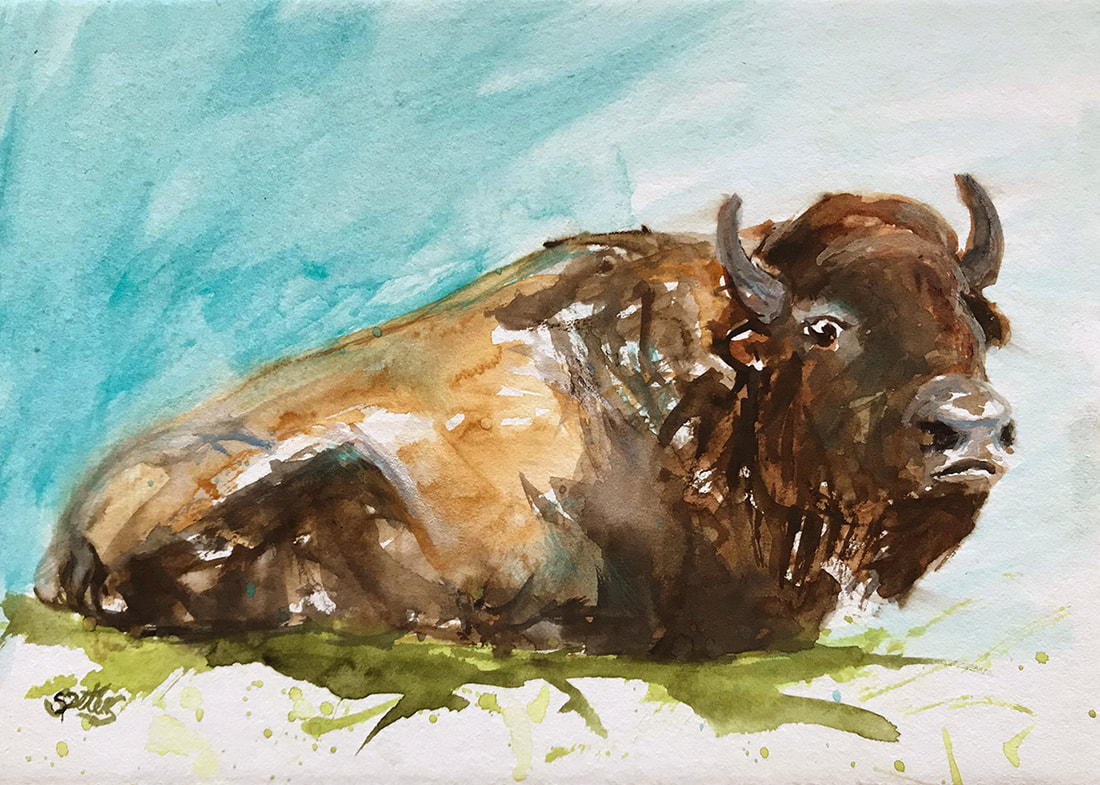 american bison painting