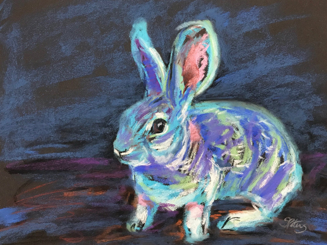 Cottontail rabbit drawing