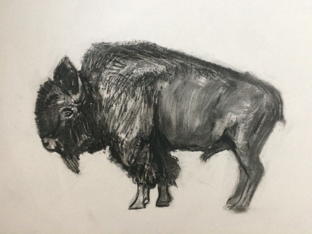 Natoinal mammal bison