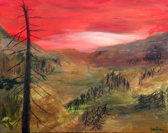burnedscape forest fire