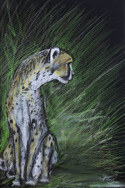 cheetah drawing