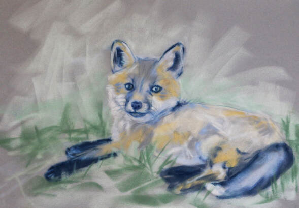 fox kit pastel