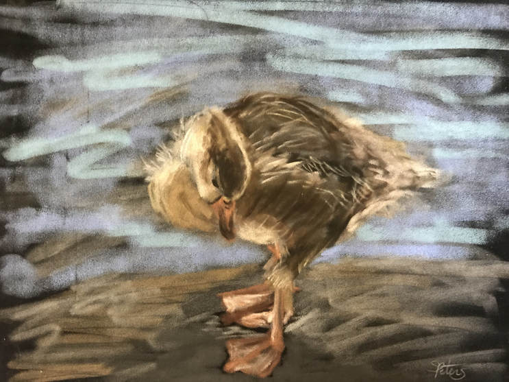 graylag gosling