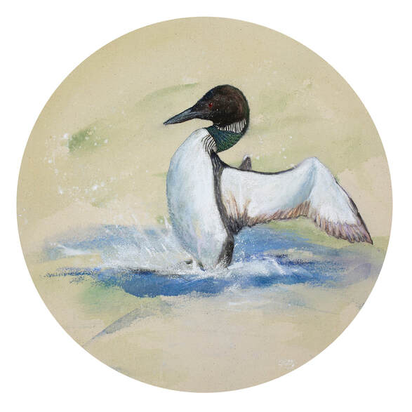 common loon painting
