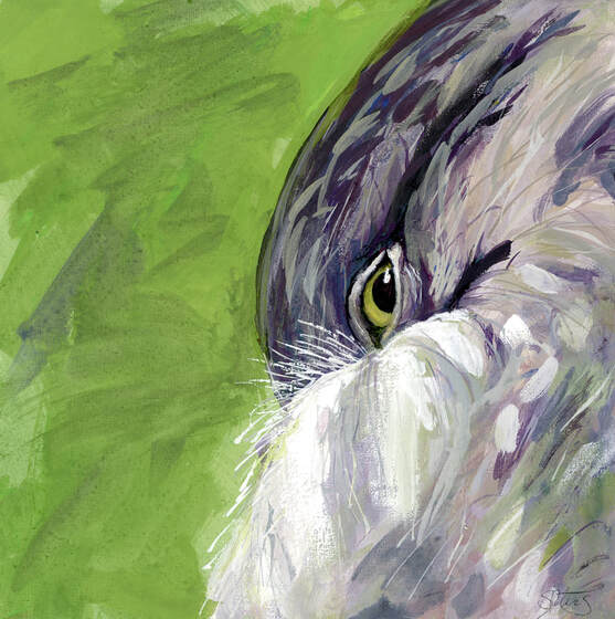 Night heron painting