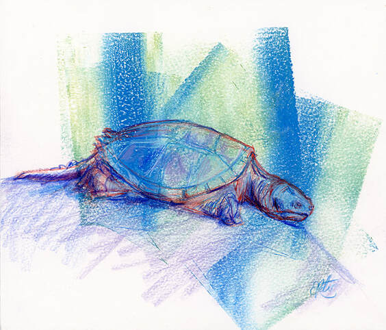 Snapping Turtle Painting
