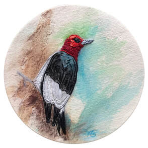 redheaded woodpecker art