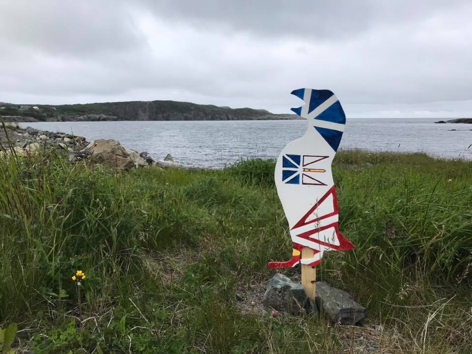 Newfoundland Flag Puffin