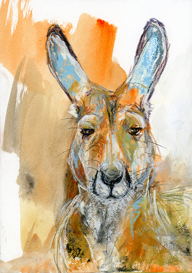 Kangaroo Art