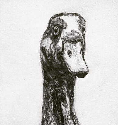 goose sketch