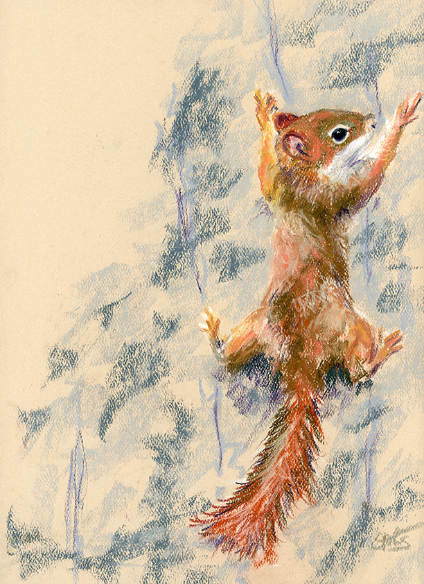 red squirrel artwork