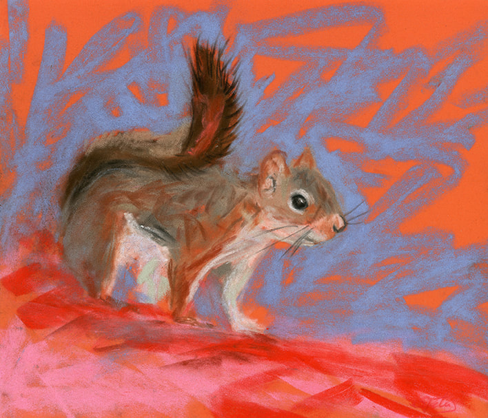 Red squirrel pastel