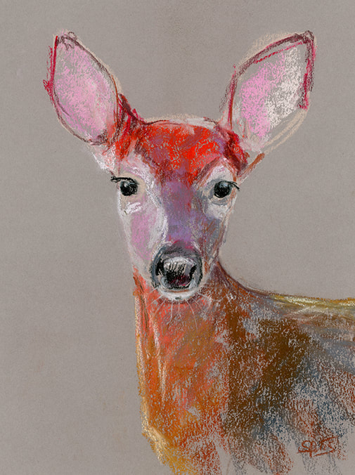 white tailed deer fawn art